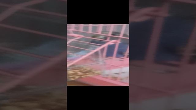 Филя обжора