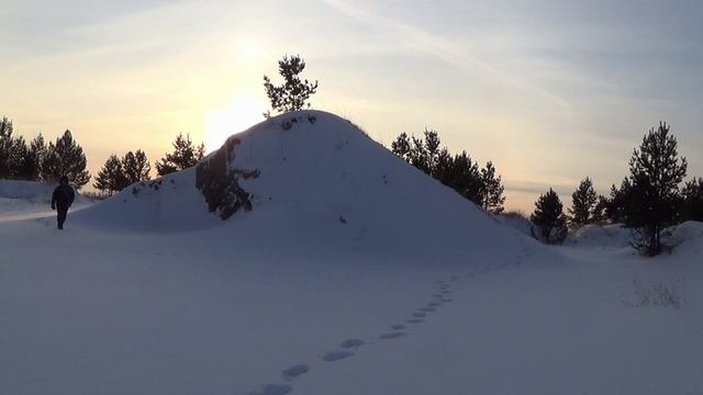 Турпоход. Торю новую лыжню. Природа. Косули
