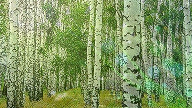 Не жалею , не зову , не плачу