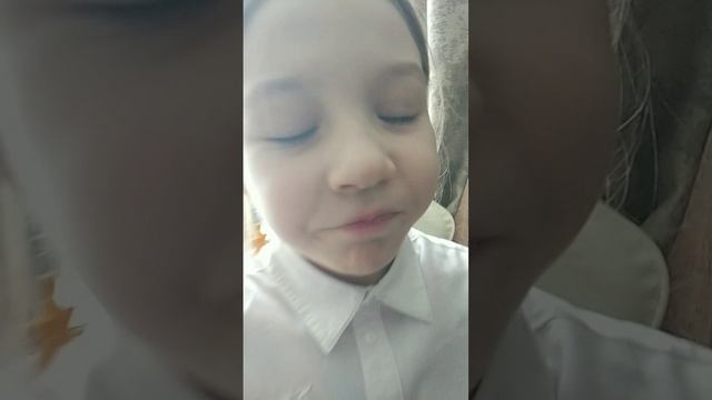 scene_output.mp4