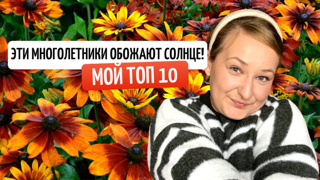ПОСАДИ ИХ НА СОЛНЦЕ| ТОП 10 МНОГОЛЕТНИКОВ ОБОЖАЮЩИХ СОЛНЕЧНЫЕ УЧАСТКИ.