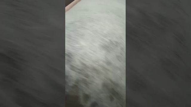 прочёс шерсти.