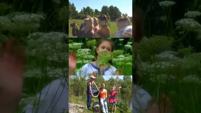 Юбилей ансамбля " Карусель" . Выпуск 20
