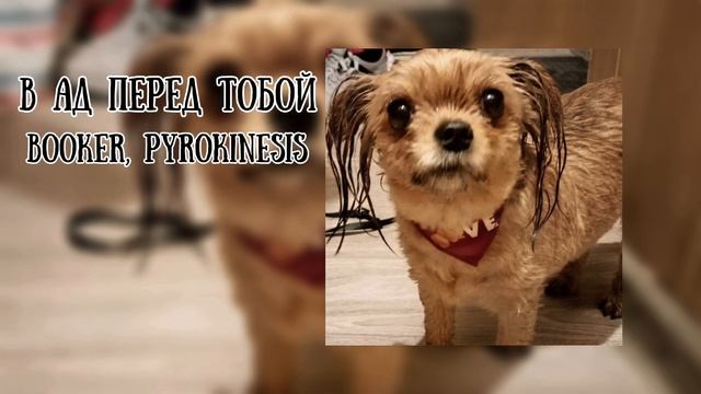 Pyrokinesis, BOOKER - В ад только перед тобой (speed up)