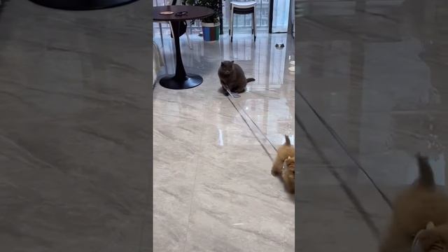 1000009591.mp4