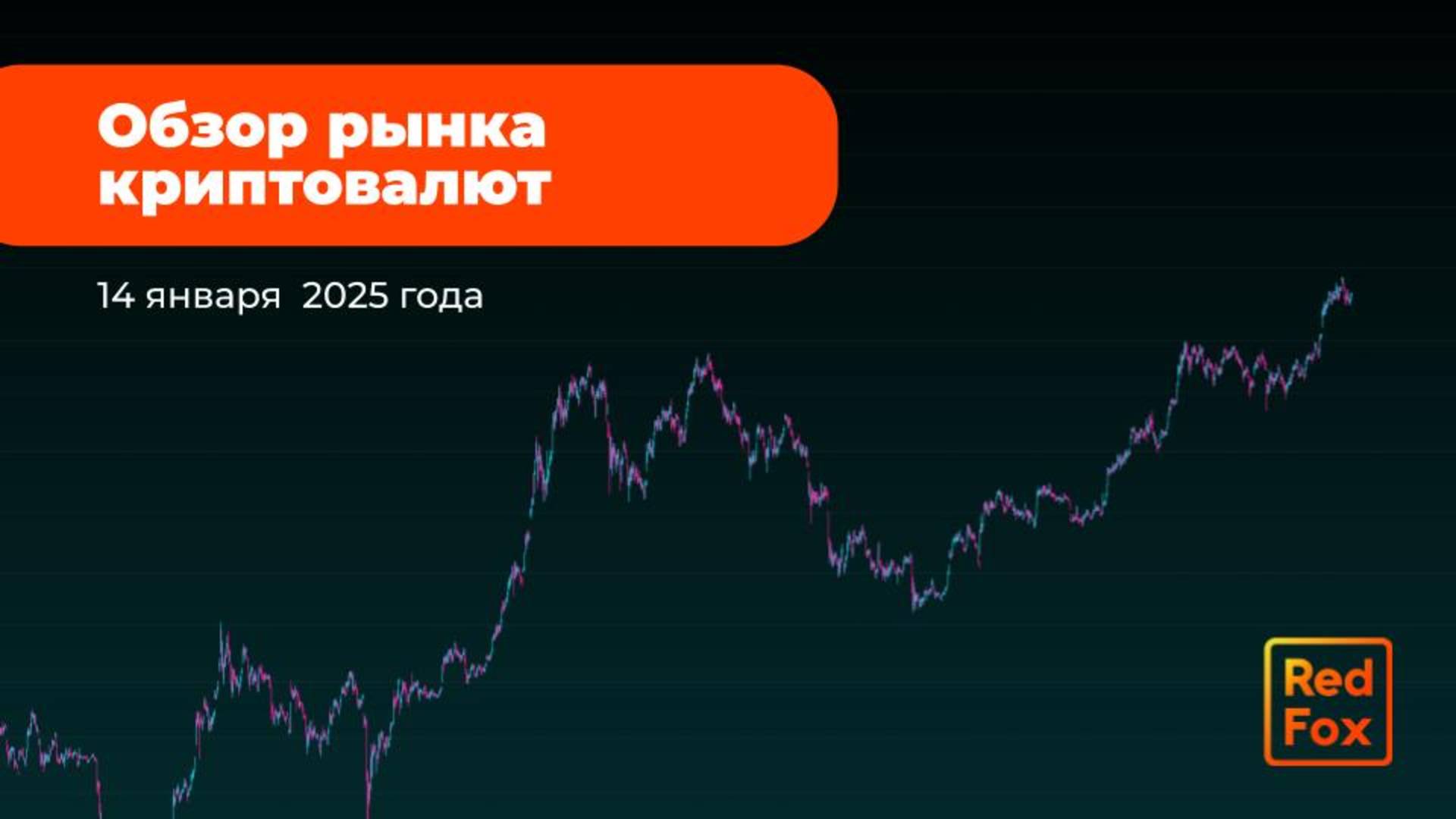 Обзор рынка криптовалют на 14 января 2025 года