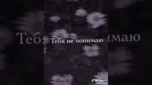 симпл димпл папыт сквиш