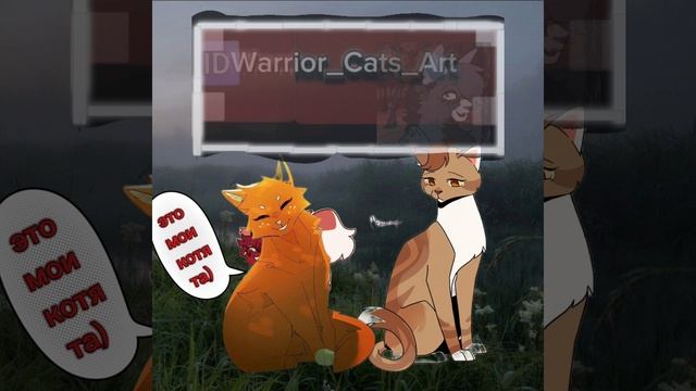белка кв Warrior_cats