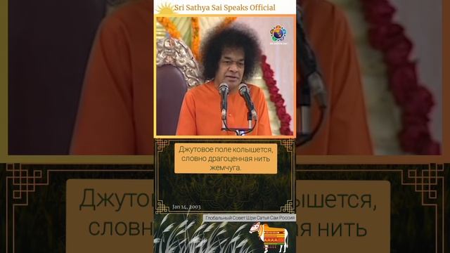 Свами поет - благословляя нас в день священного праздника Макара Санкранти🙏🏻 Сатья Саи Баба.
