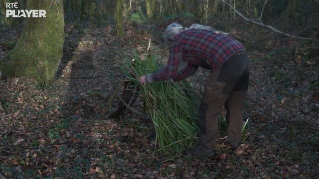 ⛺️ How To Build a Shelter with Tom Bán 🍃