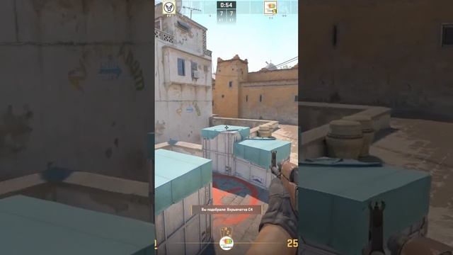 Zeus25011403