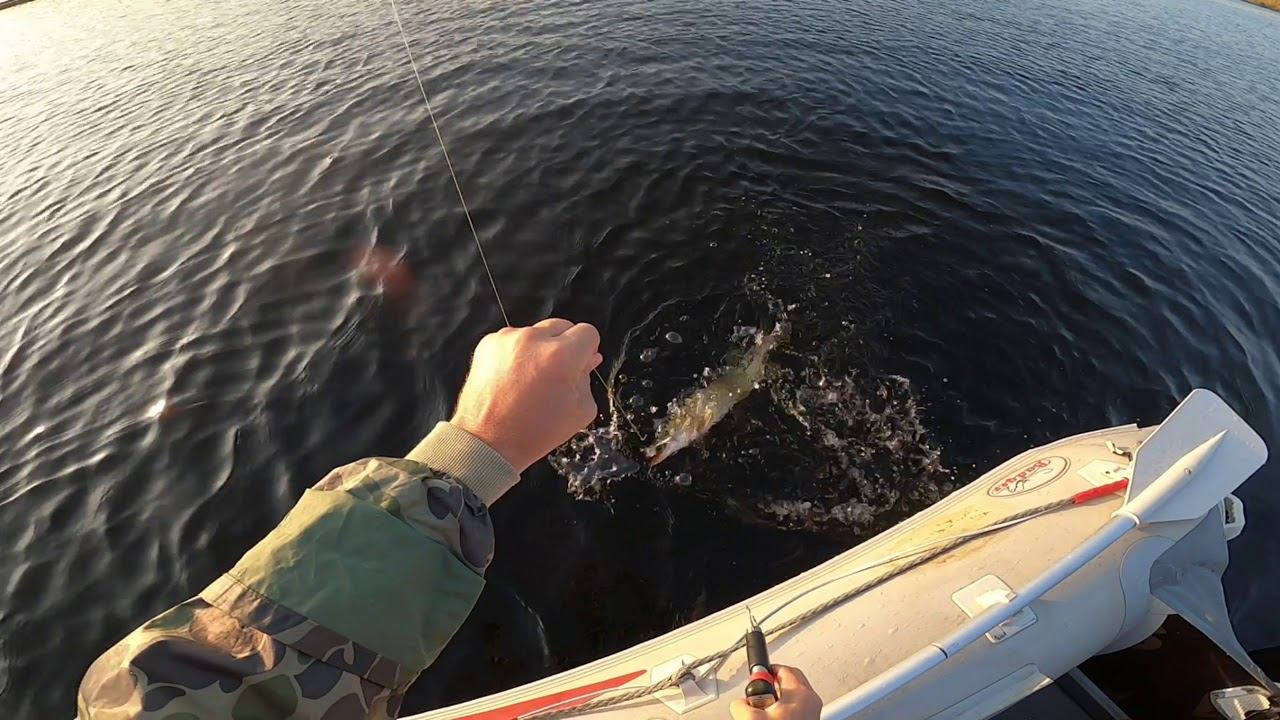 Щука 30.09.20