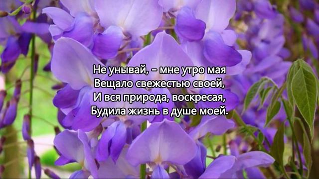 Не унывай, борись с судьбою