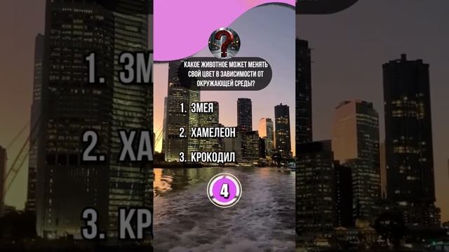 Как называется?
