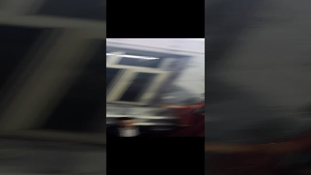 туй мана
