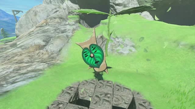 Корокское семечко за находчивость