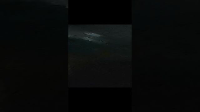 То тоже