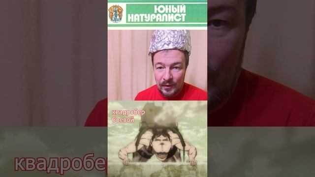 Чем опасны квадроберы