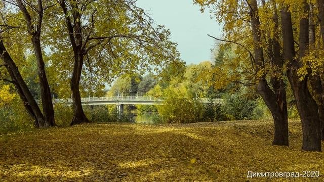 Димитровград-2020 Марков пруд Осень