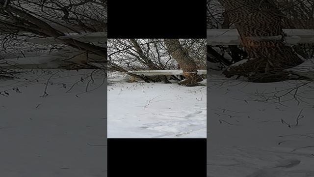 Удивительное рядом
.mp4