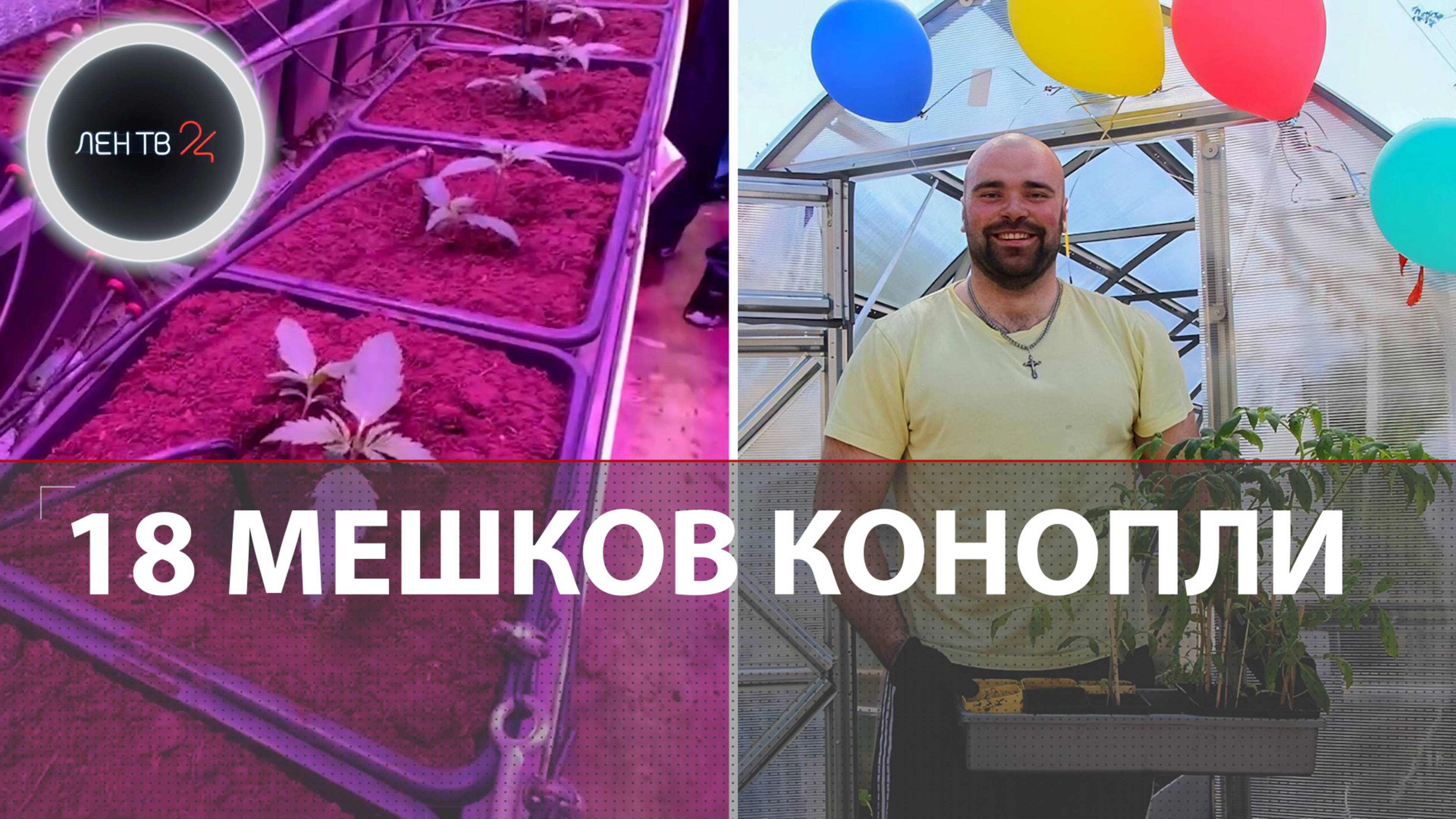 Наркоплантатор из министерства | На Урале вскрыли 5 контейнеров-теплиц с коноплей