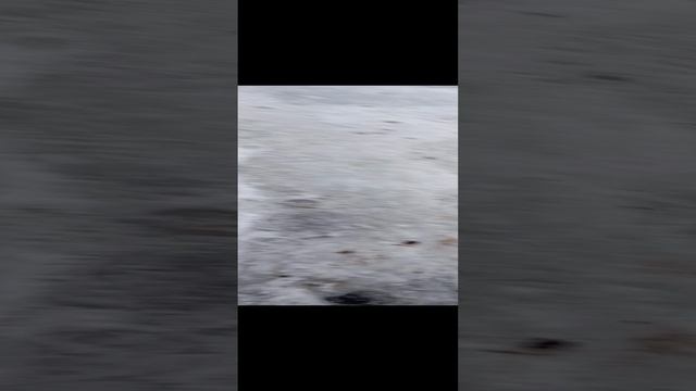 снег из будущего и 😱😱😱