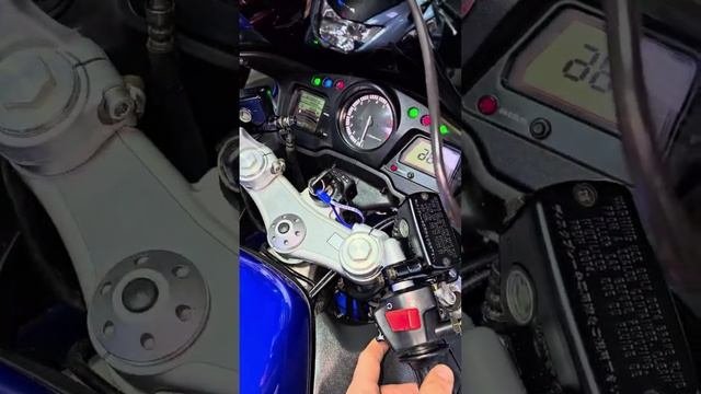 HONDA CBR1100XX, 2001 год; синий, 42500пробег, три кофра.