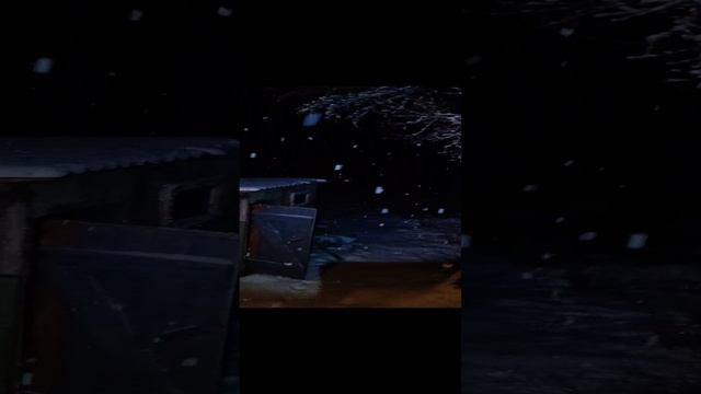 На точке.mp4