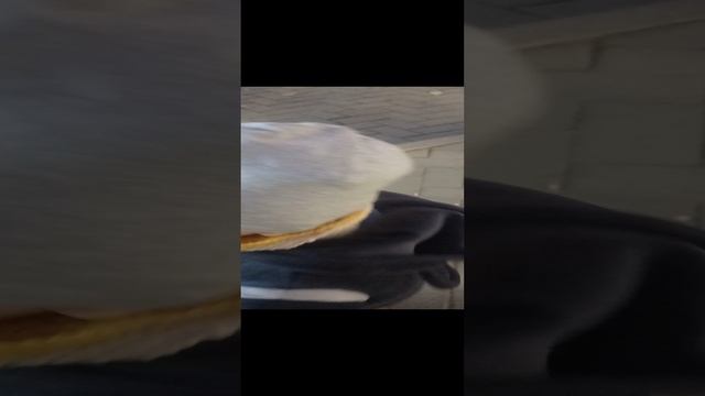 14-01-2025