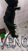 scene_output.mp4