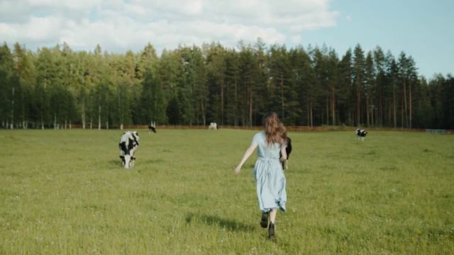 Урок 1.1Стабилизация видео