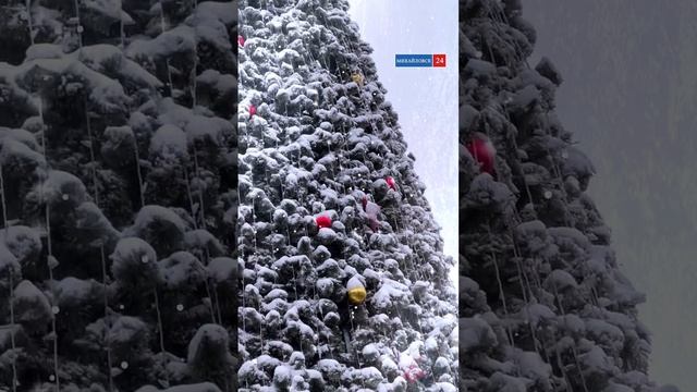 Сквер, площадь Ленина, Михайловск