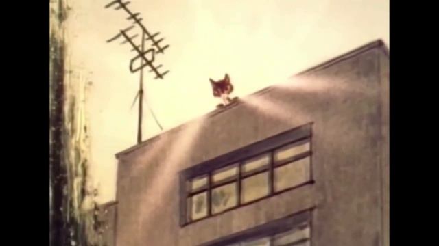 Котенок на крыше (1976 год)