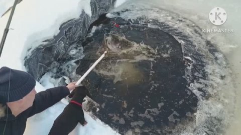 зимняя рыбалка на форель