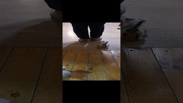 1000214796.mp4