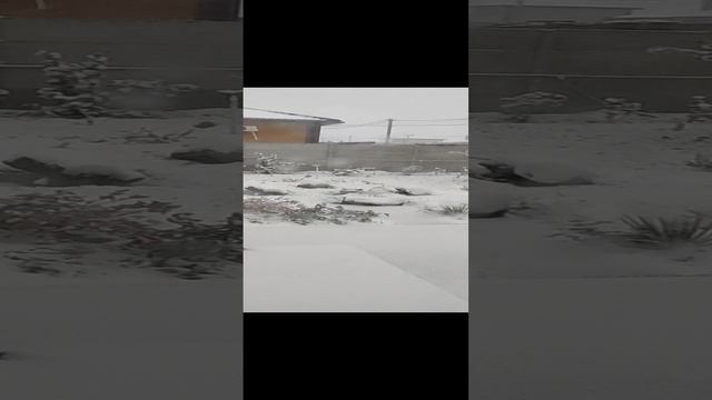 снег выпал только в ноябре