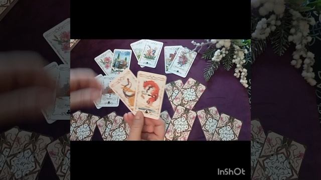 🌲Тайны Нового года🎉🌲