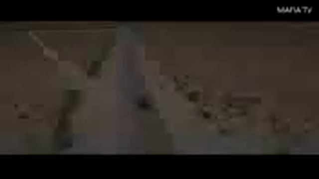 Они лучшие гонщики формулы  🙌 да