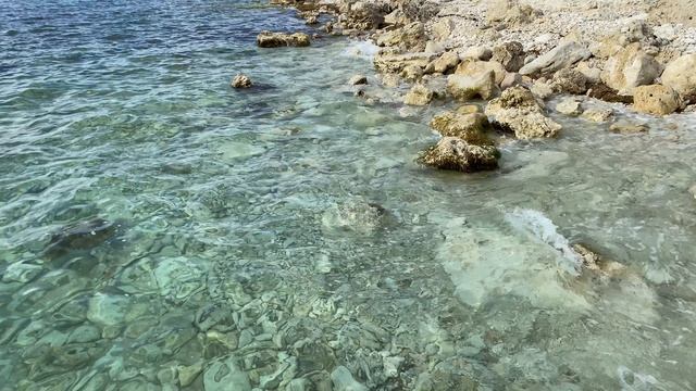 Морские волны, шум моря, прозрачная вода и красивый берег