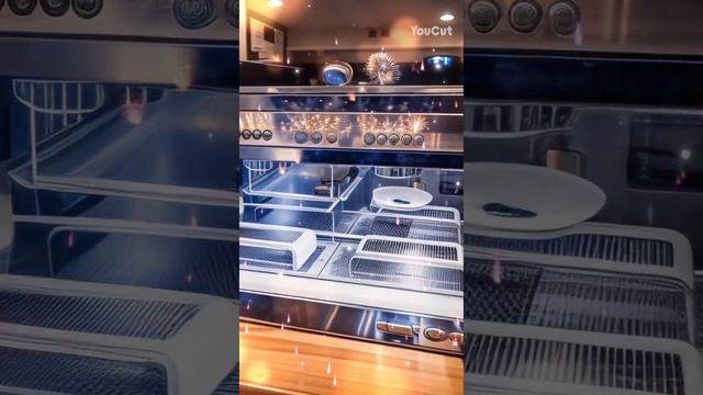 1000004993.mp4