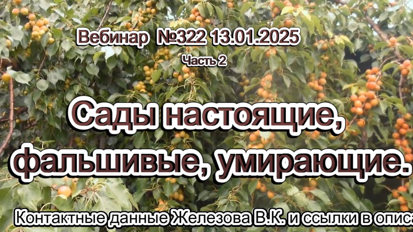 Железов Валерий. Вебинар 322. ч.2. Сады настоящие, фальшивые, умирающие.