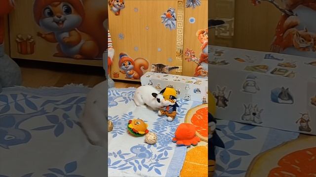 1000102773.mp4