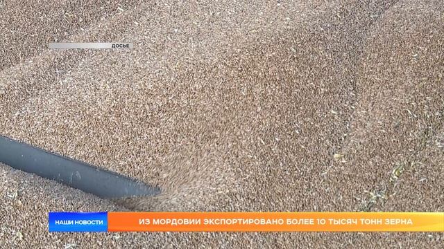 Из Мордовии экспортировано более 10 тысяч тонн зерна