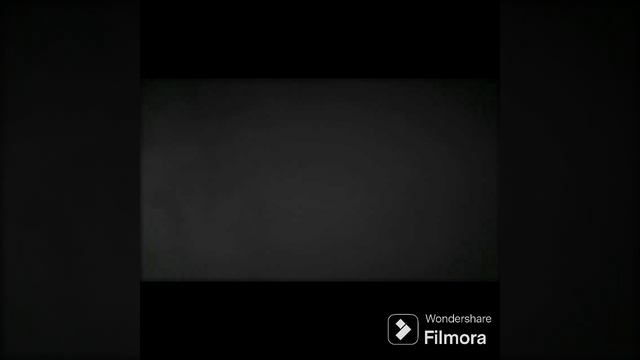 1000002964.mp4