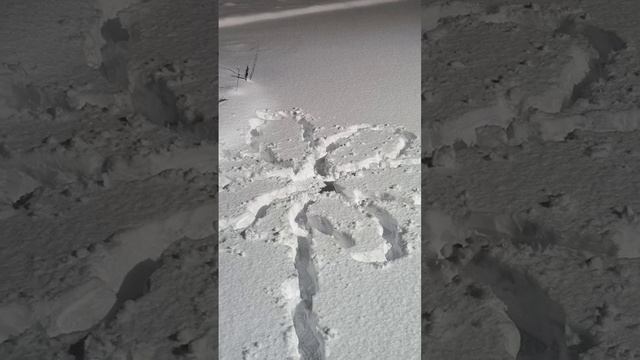 зимние забывы