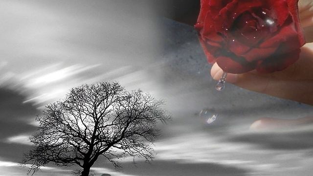 Ты не печалься