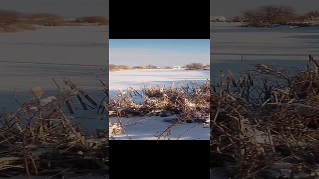 Река Бажаниха в Волжском районе Самарской области!