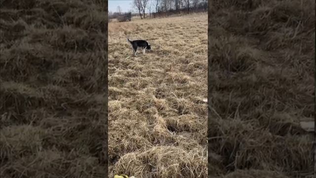 1000168608.mp4