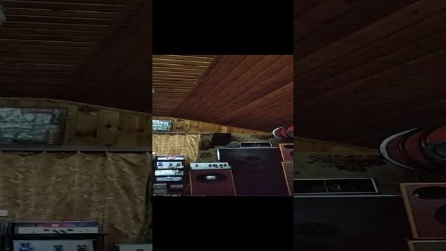 VID_20250114_200619.mp4