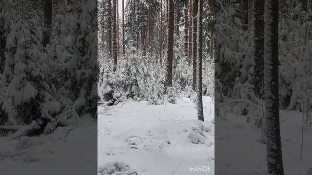 13 января 2025г
